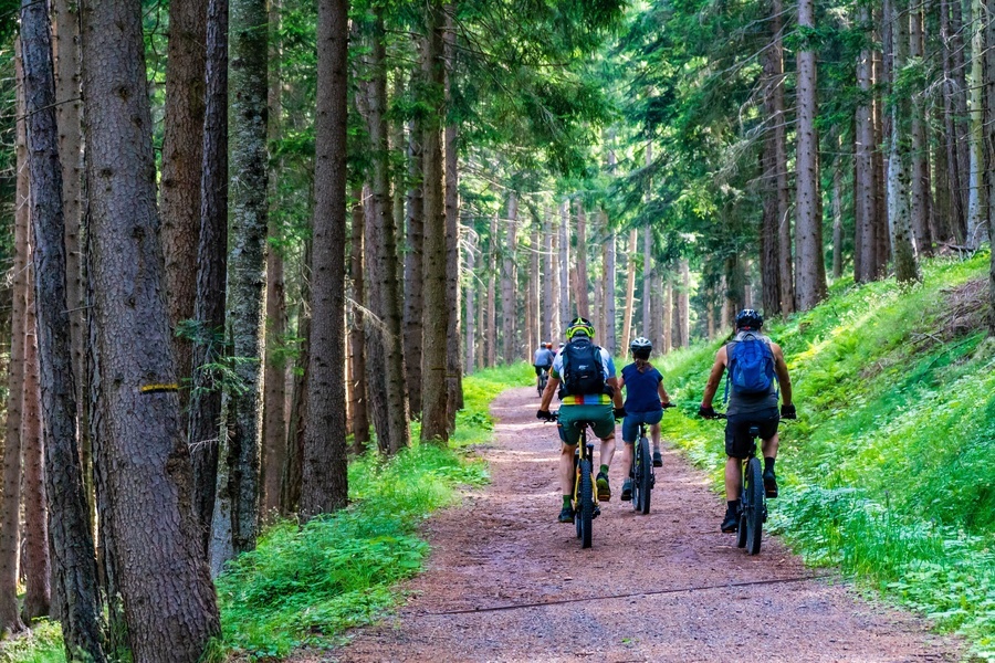 MTB-Tour